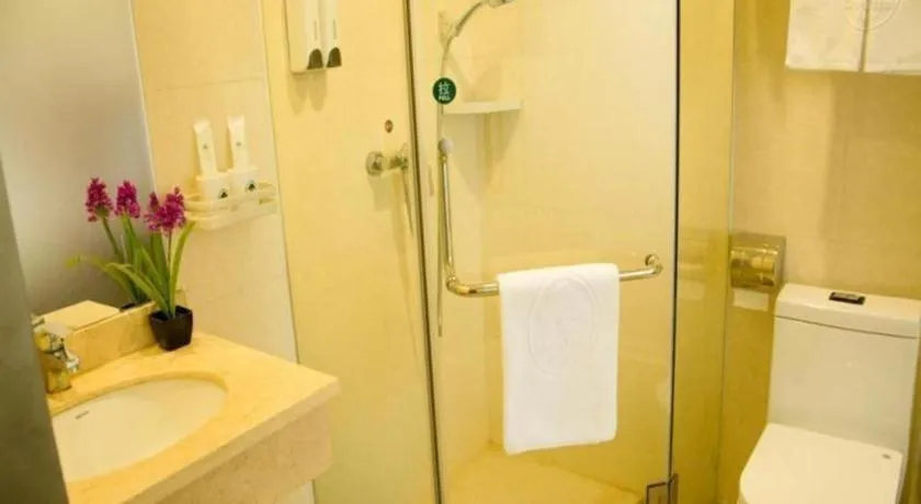 GreenTree Inn Shenzhen Guanggang Port Futian South Road Express Hotel