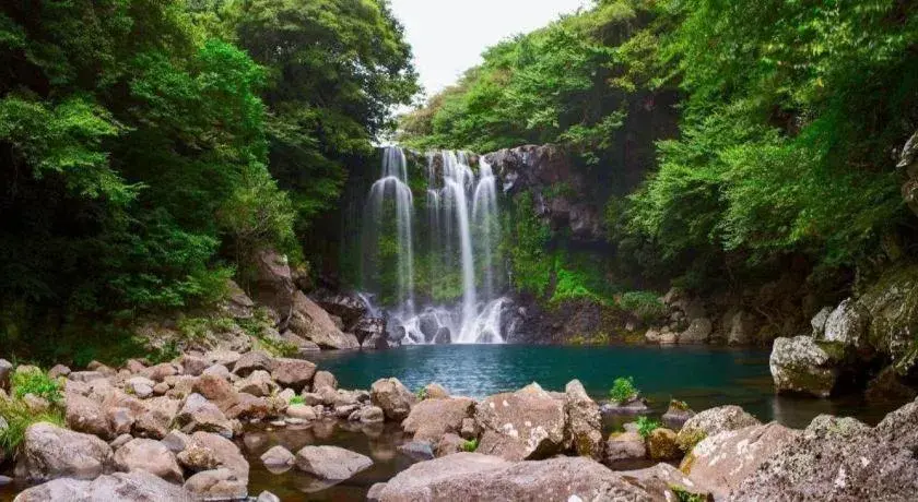 Hotel Theborn Jeju Hotel Theborn Jeju