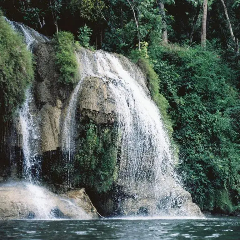 The River Life Resort The River Life Resort