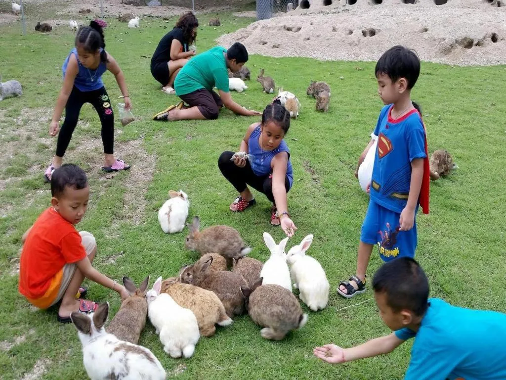 Tanaosri & Creekside Resort