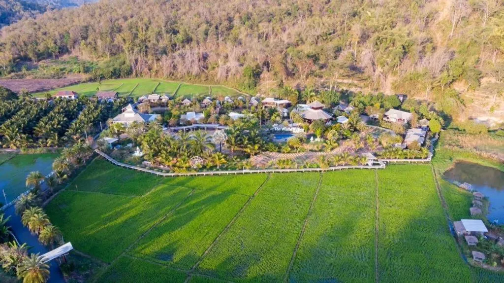 The White House Boutique Resort