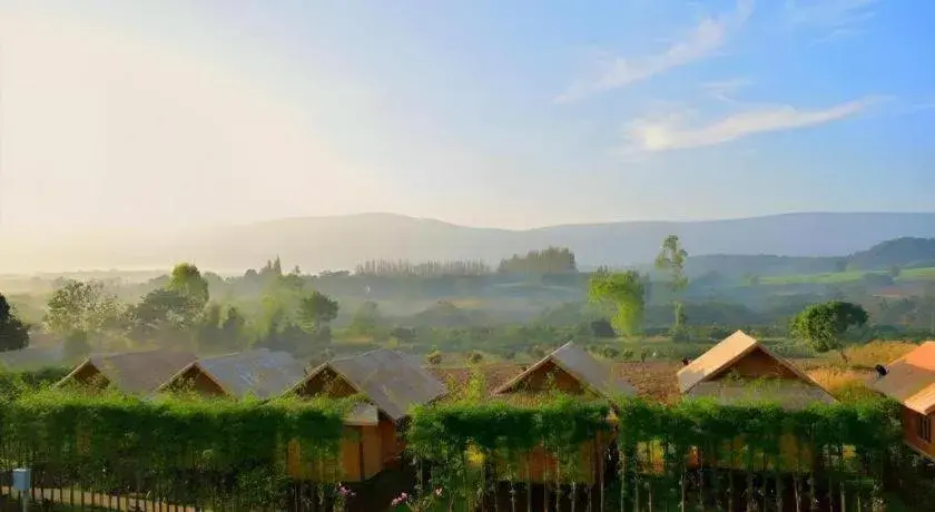 Baansuanpai Noppakao Baansuanpai Noppakao