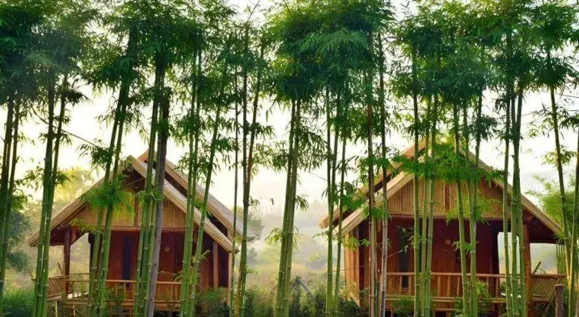 Baansuanpai Noppakao Baansuanpai Noppakao