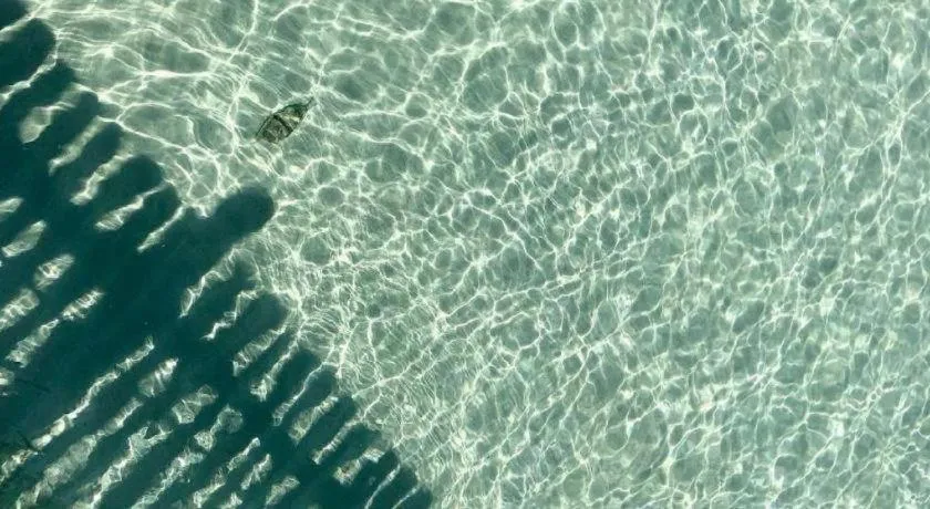 Ko Kut Ao Phrao Beach Resort