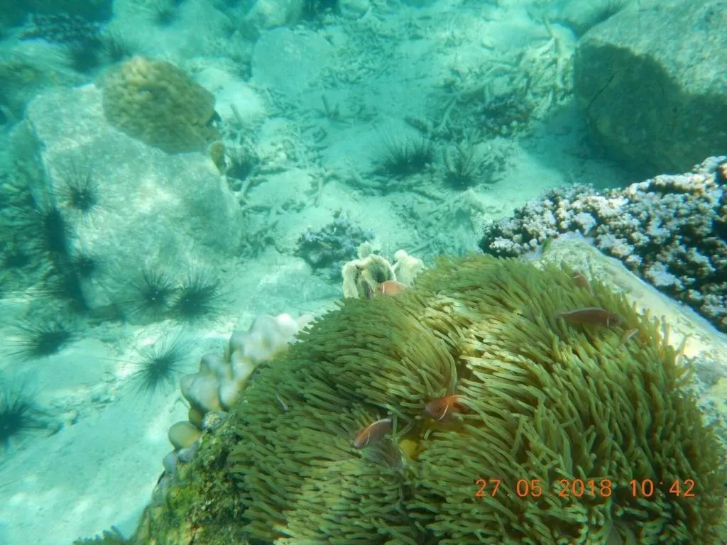 Ko Kut Ao Phrao Beach Resort