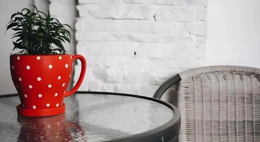 The Sugar Hostel The Sugar Hostel