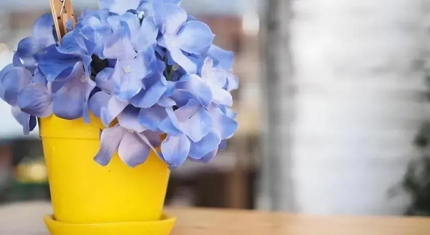 The Sugar Hostel The Sugar Hostel