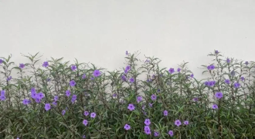 Tipparika Riverview Hotel