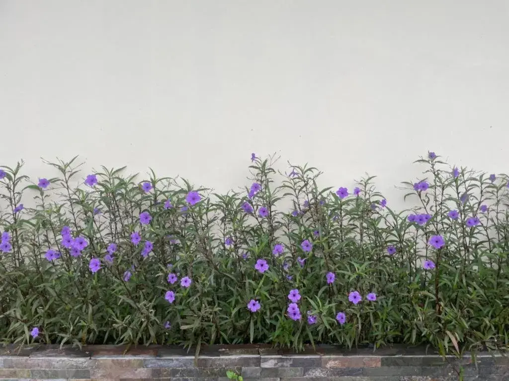 Tipparika Riverview Hotel - Adult only Tipparika Riverview Hotel - Adult only