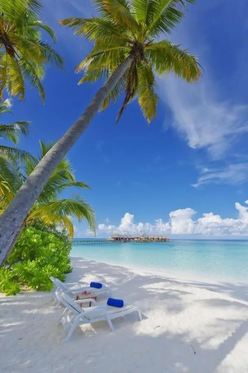 Angaga Island Resort and Spa