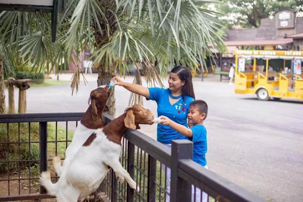 Verona Boutique Hotel - The Verona Co., Ltd