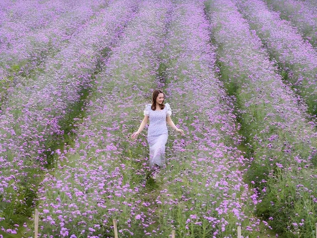 Verona Boutique Hotel - The Verona Co., Ltd