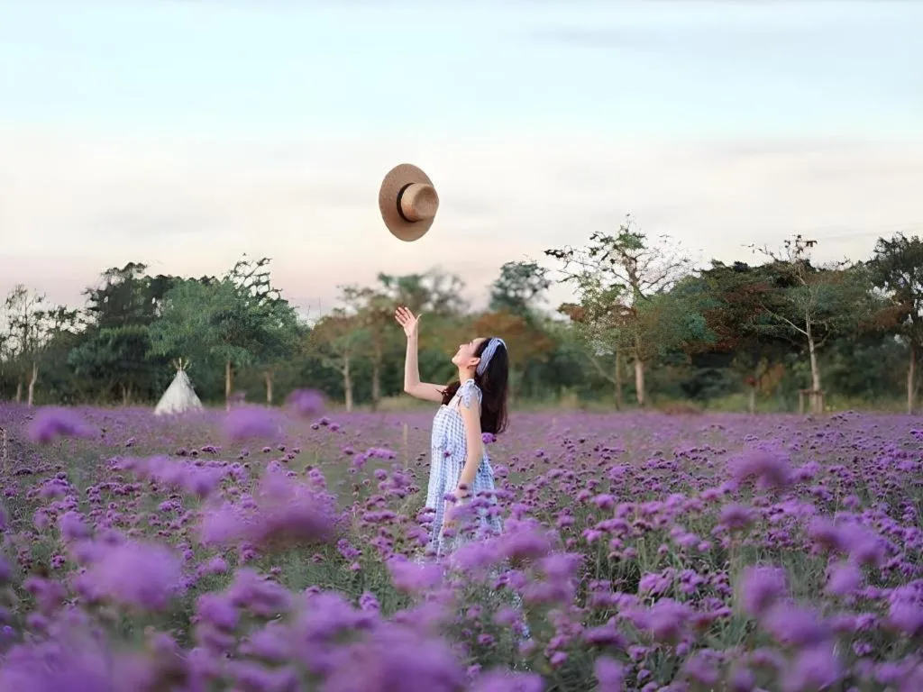 Verona Boutique Hotel - The Verona Co., Ltd