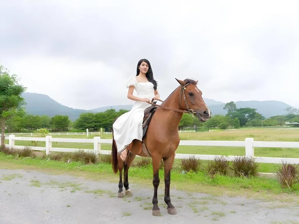 Verona Boutique Hotel - The Verona Co., Ltd