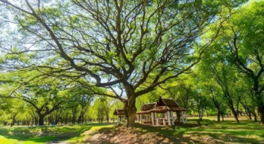 Wake Up at Muang Kao Boutique Hotel