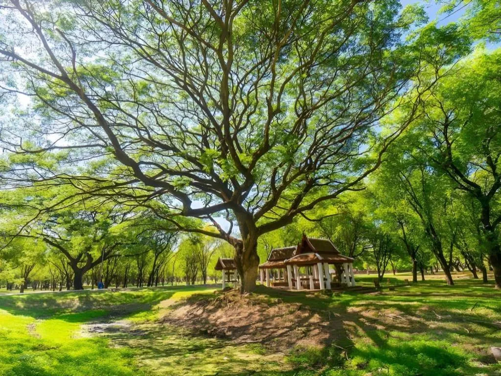 Wake Up at Muang Kao Boutique Hotel