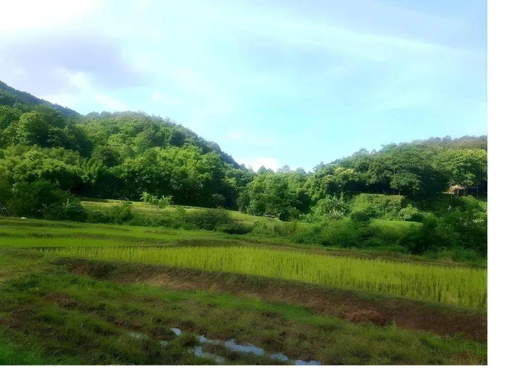 Peisanae Faikeng Resort