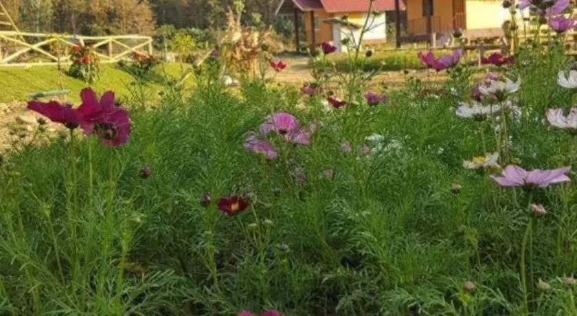 Peisanae Faikeng Resort