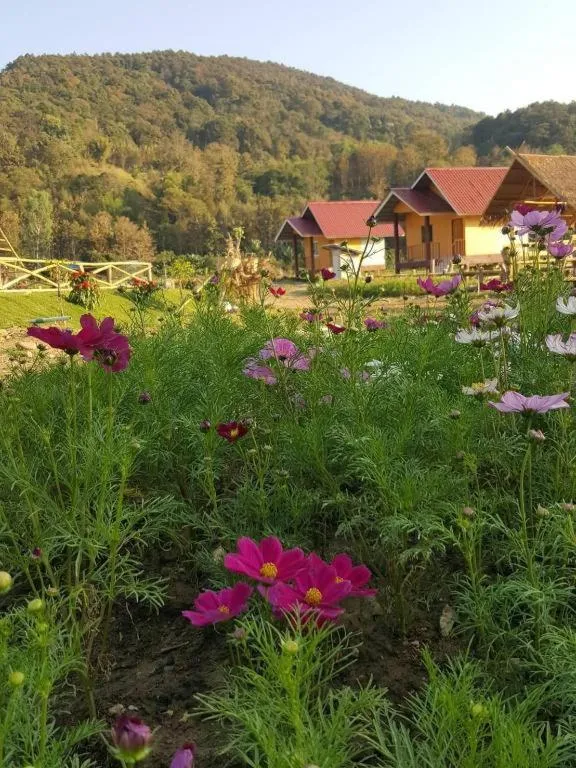 Peisanae Faikeng Resort