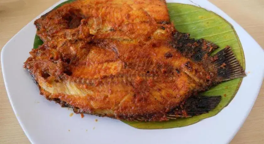 pyramid suites Hotel pyramid suites Hotel