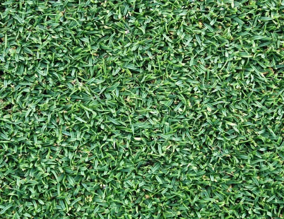 Balibago Hotel Balibago Hotel