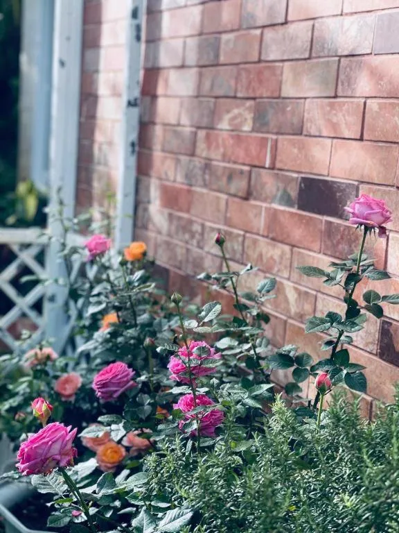 La Roza Dalat Boutique Hotel