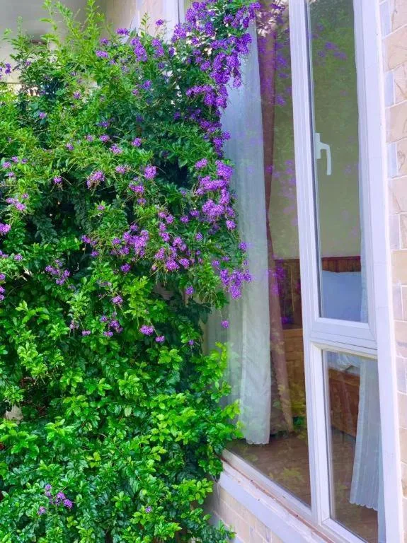 La Roza Dalat Boutique Hotel