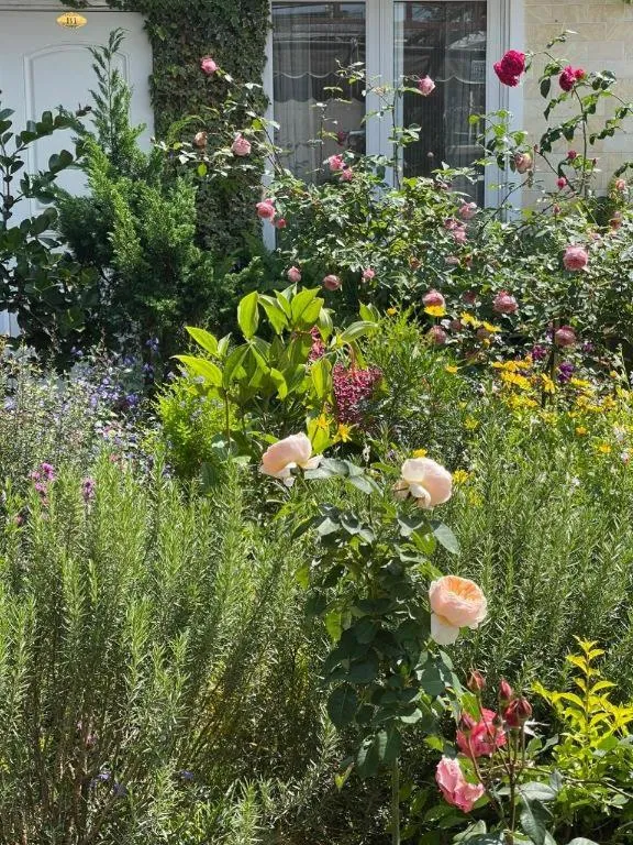 La Roza Dalat Boutique Hotel