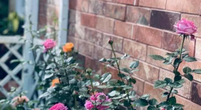 La Roza Dalat Boutique Hotel