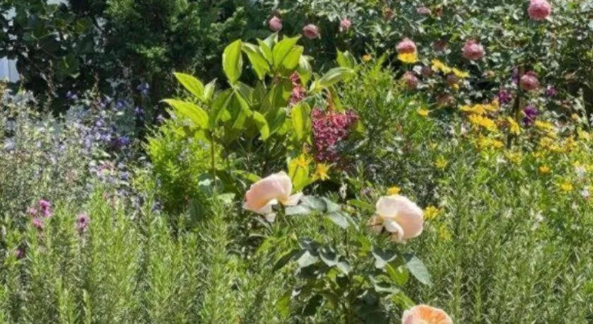 La Roza Dalat Boutique Hotel