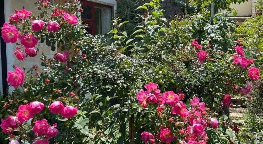 La Roza Dalat Boutique Hotel