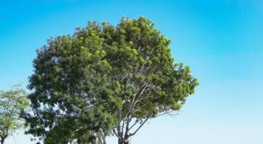 Ocean View Resort Yalong Bay