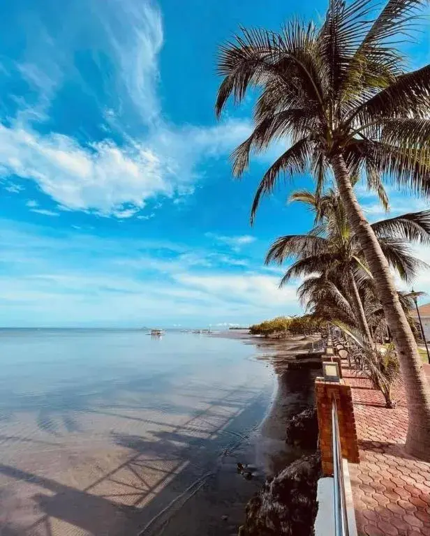 Lago de Oro Lago de Oro