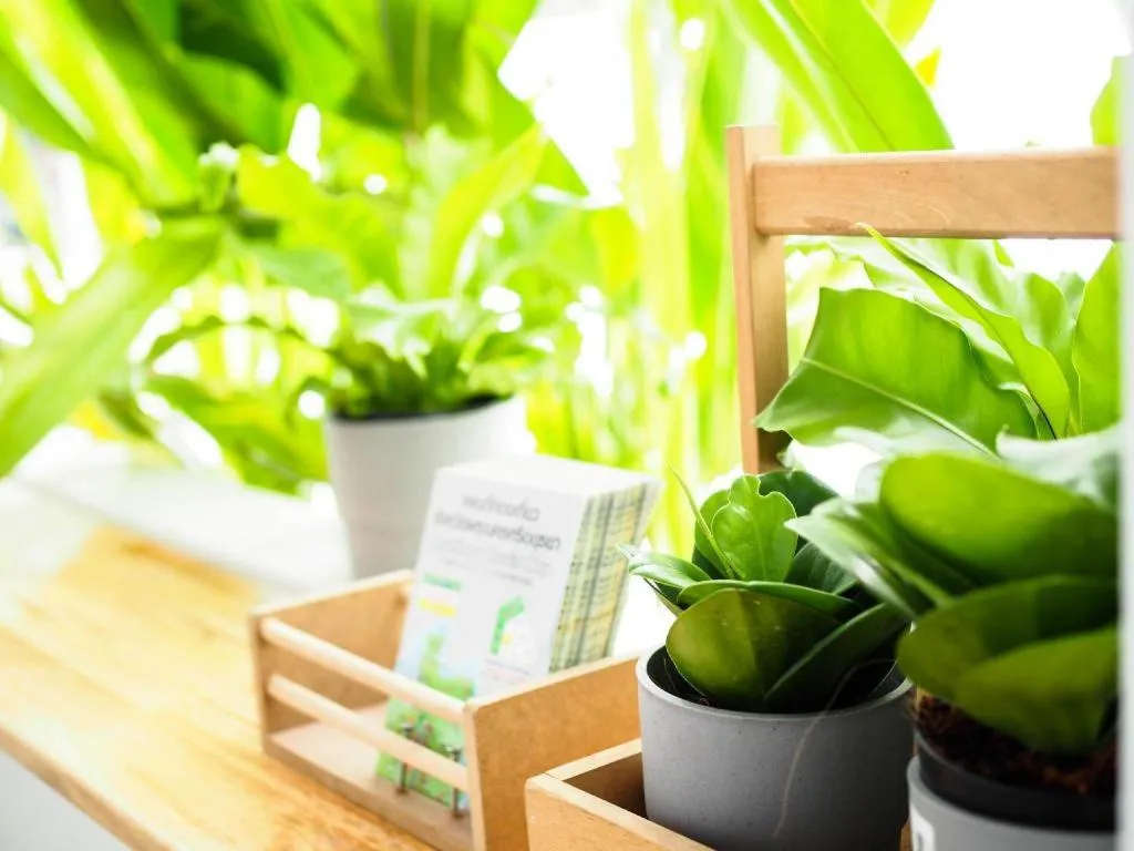 Unyak Room Ayutthaya