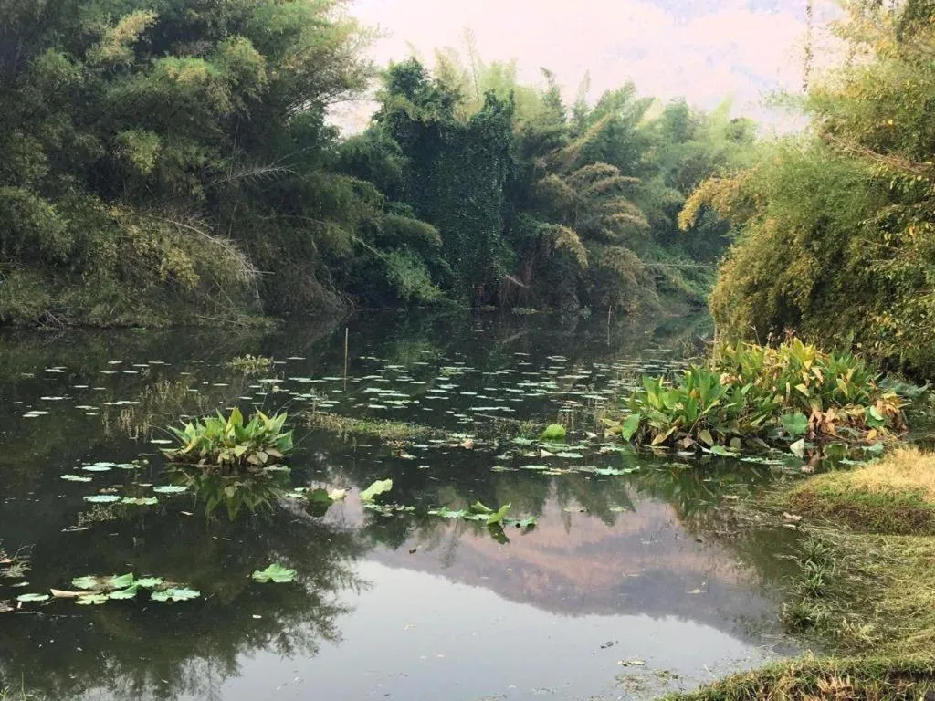 Le Bassin Erawan Resort