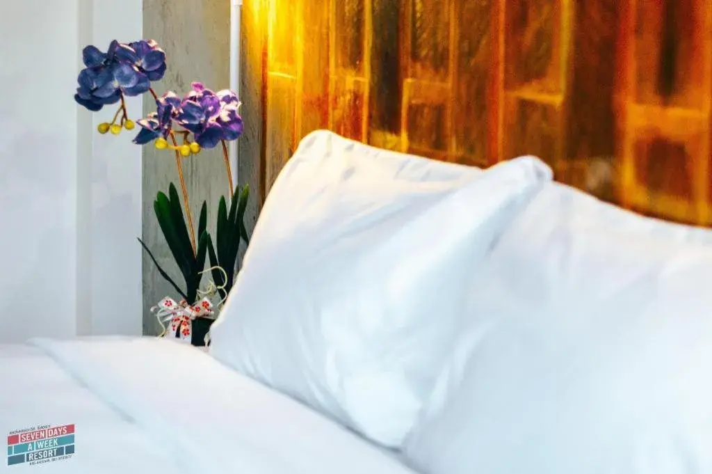 Bed in Seven Days a Week Resort Bed in Seven Days a Week Resort