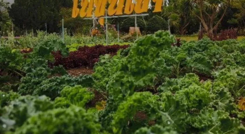 Nai Khun Khao Resort