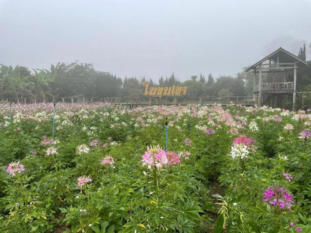 Nai Khun Khao Resort