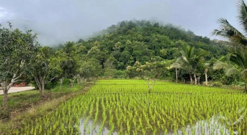 Nai Khun Khao Resort
