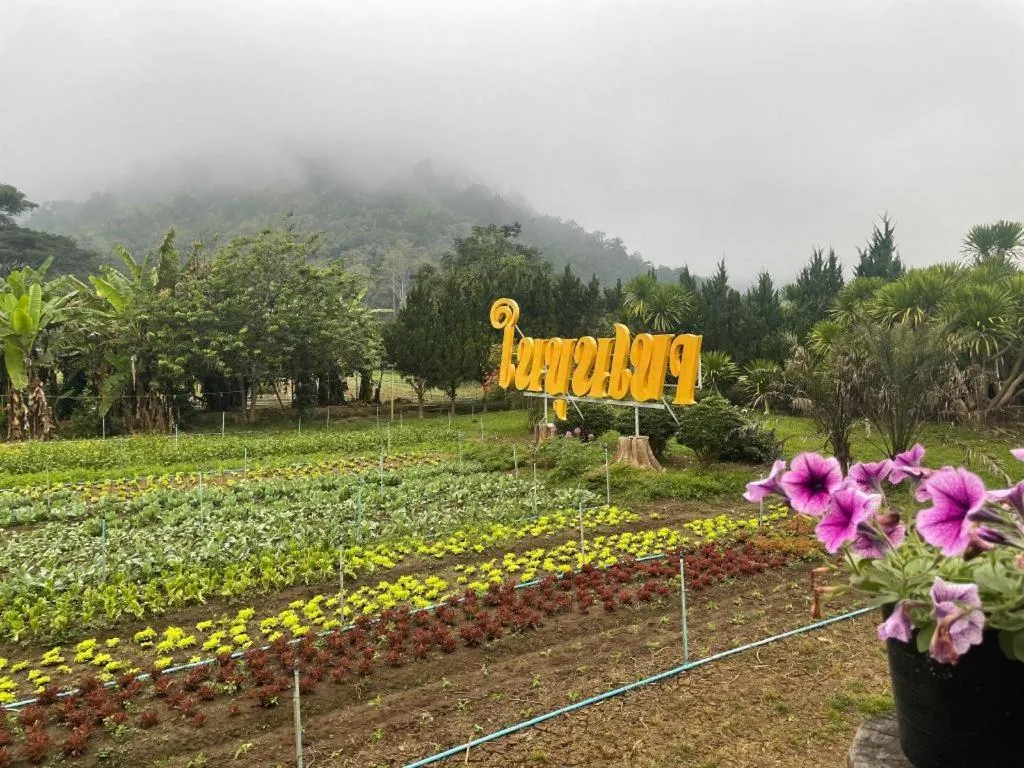 Nai Khun Khao Resort