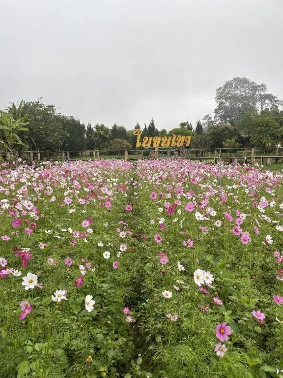 Nai Khun Khao Resort