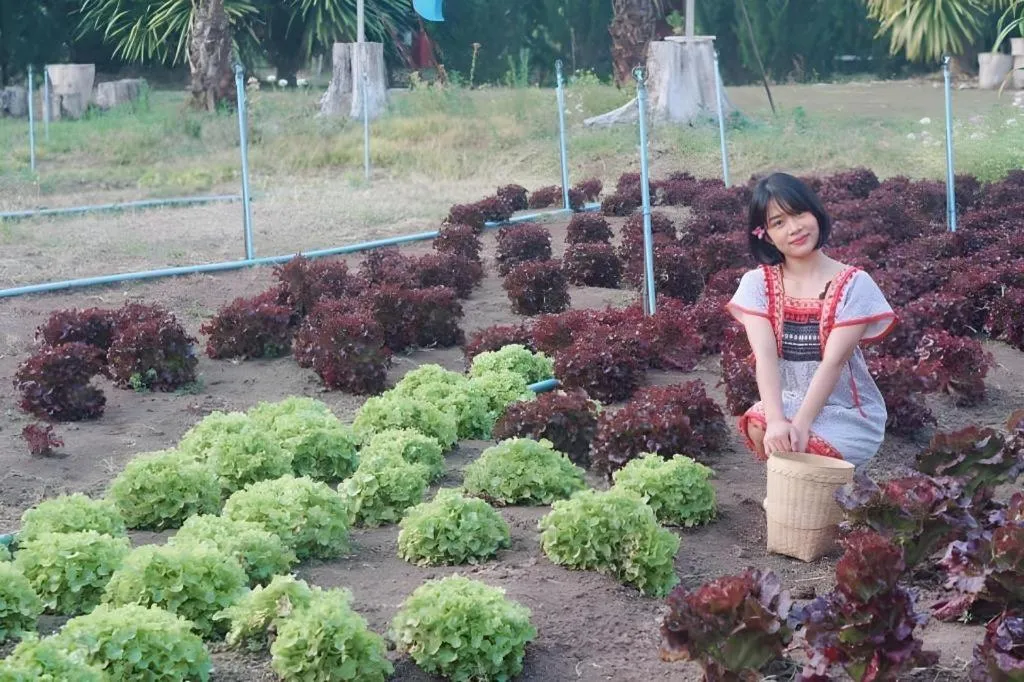 Nai Khun Khao Resort