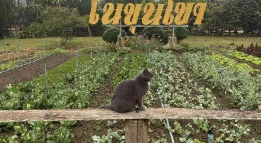 Nai Khun Khao Resort