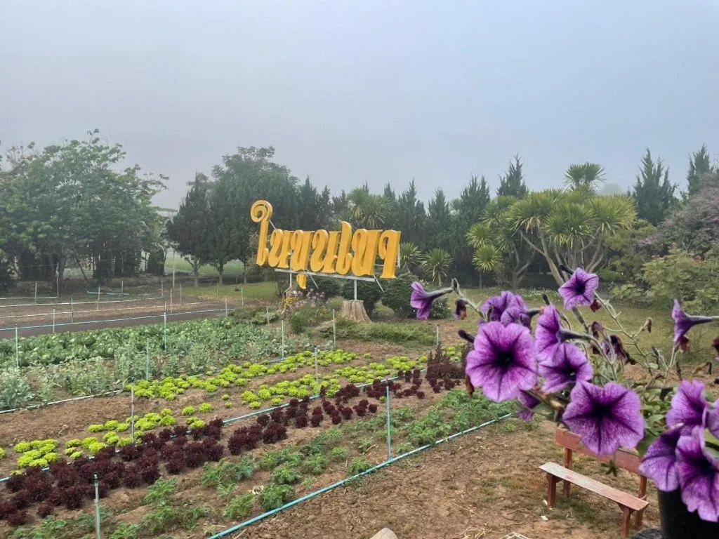 Nai Khun Khao Resort