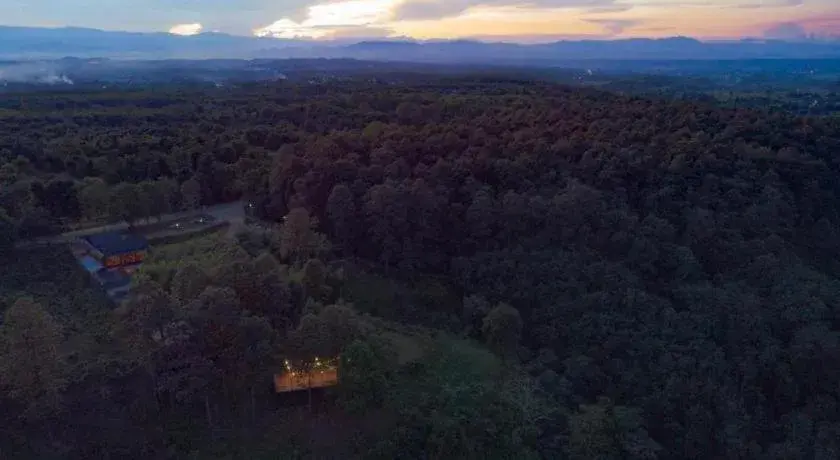 NantraKiri NantraKiri