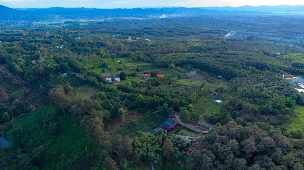 NantraKiri NantraKiri