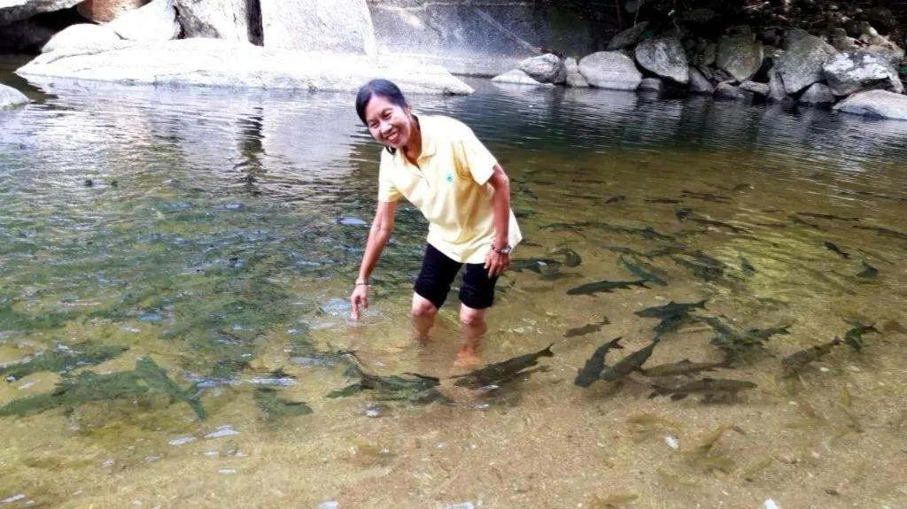 Baan Bhuriwat Kiriwong