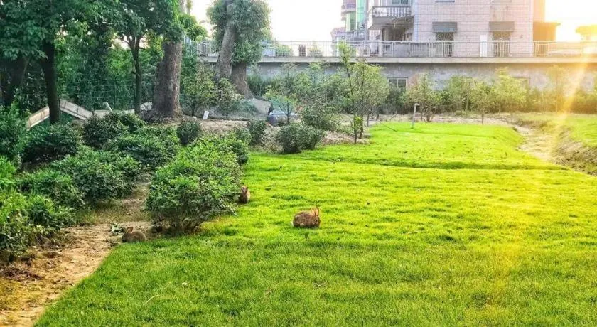 S·dor Hotel Hangzhou Xiaoshan Intertational Airport