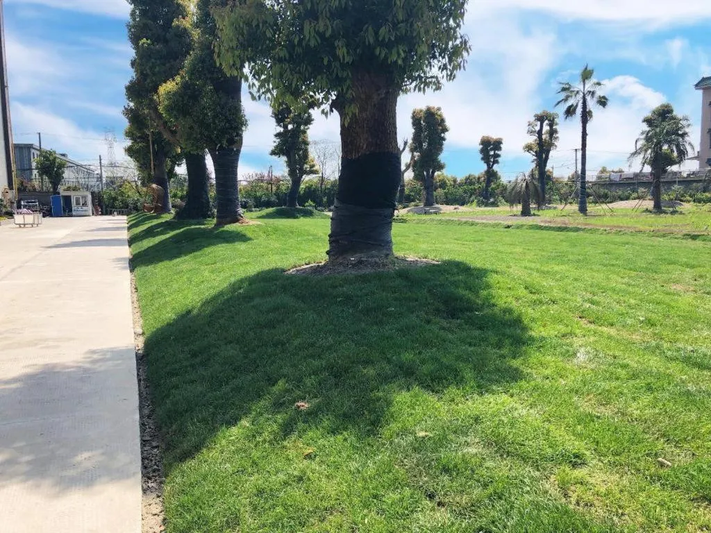 S·dor Hotel Hangzhou Xiaoshan Intertational Airport