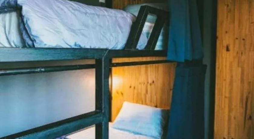 Bed in Poonpun Pet Friends Poshtel